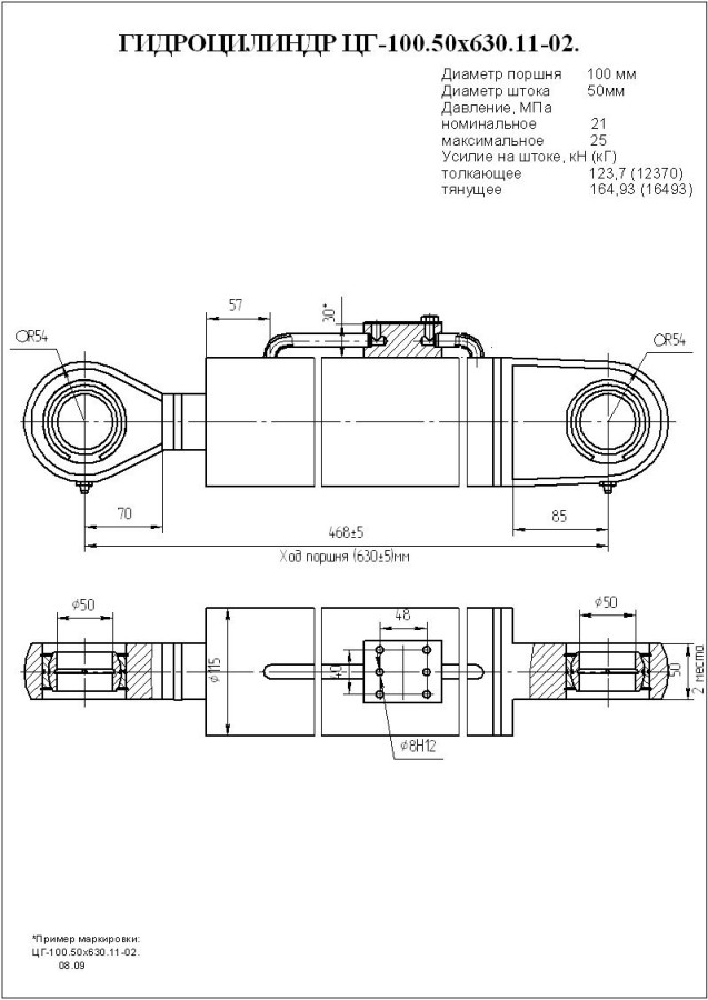 ЦГ-100.50х630.11-02