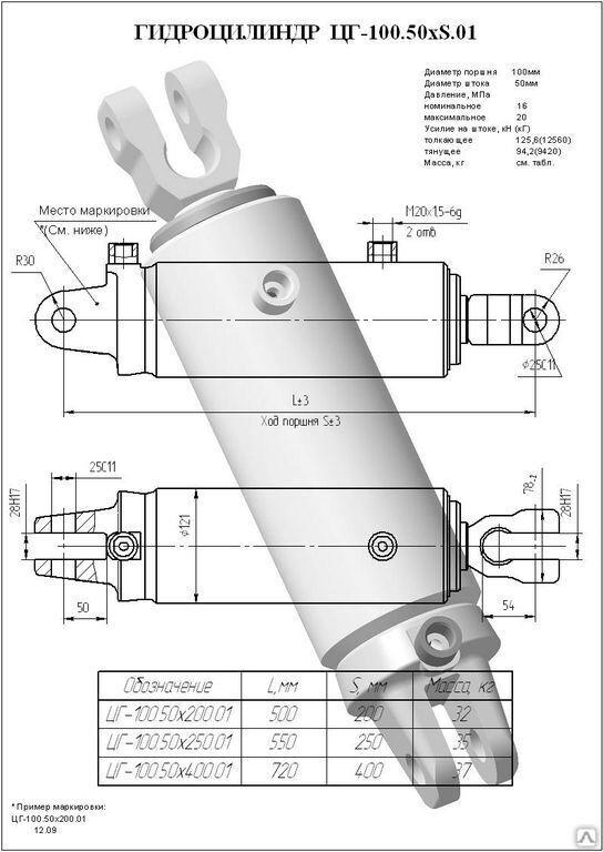 ЦГ-100.50х200.01 Гидроцилиндр