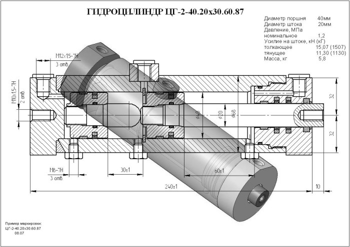 ЦГ-2-40.20х30.60.87 Гидроцилиндр