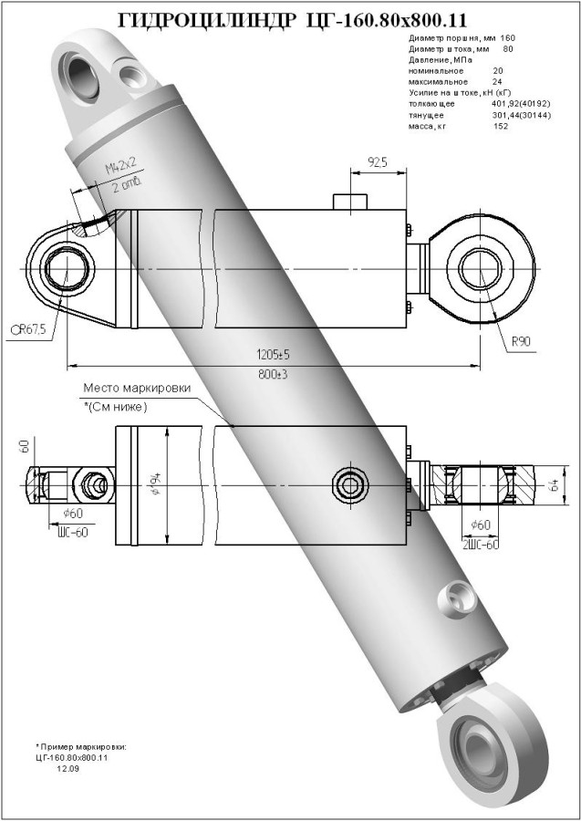ЦГ-160.80х800.11 Гидроцилиндр ЕГА УДМ-00.02.000-1