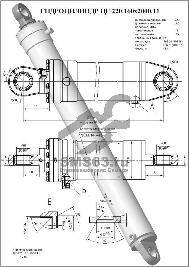 ЦГ-220.160х2000.11 Гидроцилиндр подъема стрелы автокрана (КС-45717.63.400-5-01)
