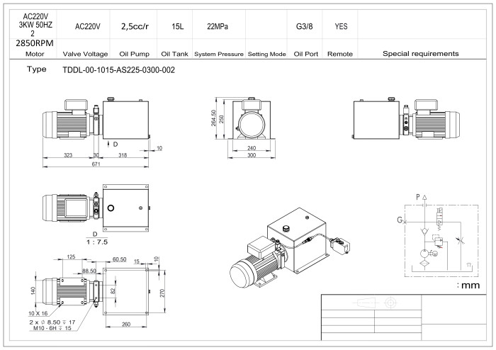 Станция насосная гидравлическая TDDL-00-1015-AS225-0300-002: 22MPa. 220V 3 KW. 2850RPM 2,5cc/r 15L Tank steel square horizontal. SV-08-2NCP-M-AC220V. Port G3/8" With 2 button remote cable