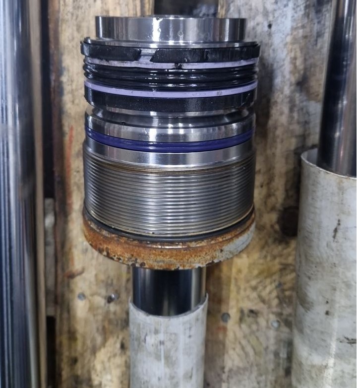 photo_5201689374302009694_y